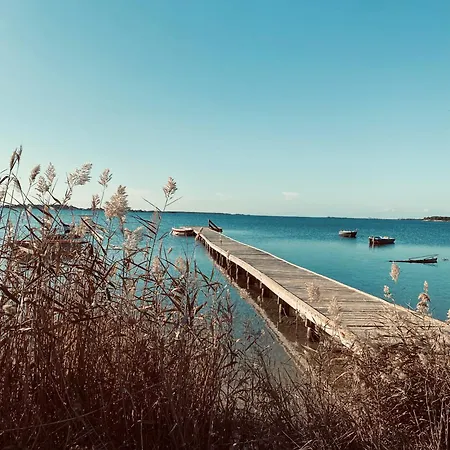 Vento E Salsedine