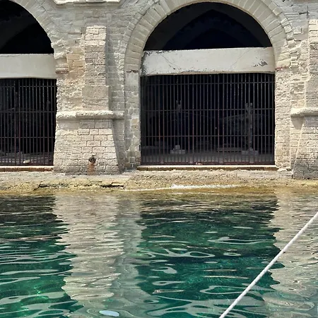 Vento E Salsedine