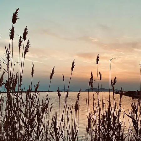 Vento E Salsedine Marsala